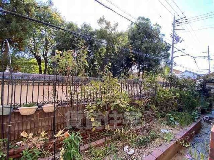 LA RIVIERE OKAMOTOの周辺