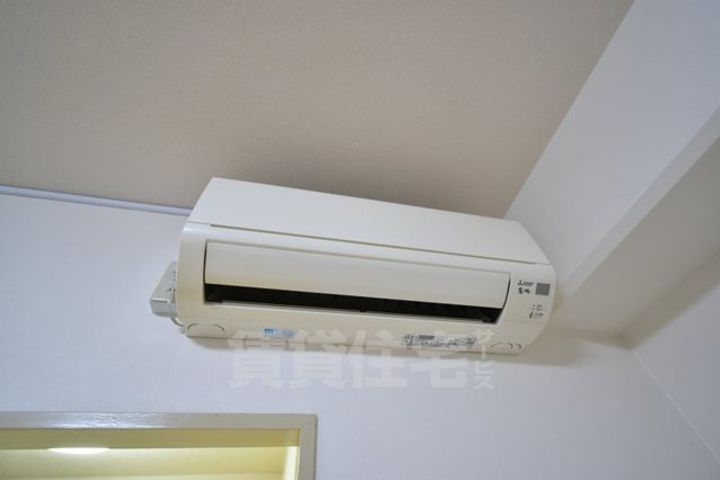 シロハイヌ今米のその他画像
