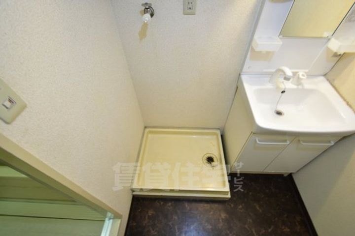 シロハイヌ今米のその他画像