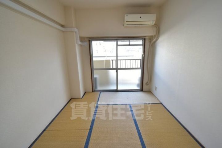 シロハイヌ今米のその他画像