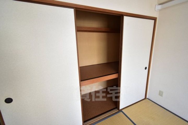 シロハイヌ今米の内装