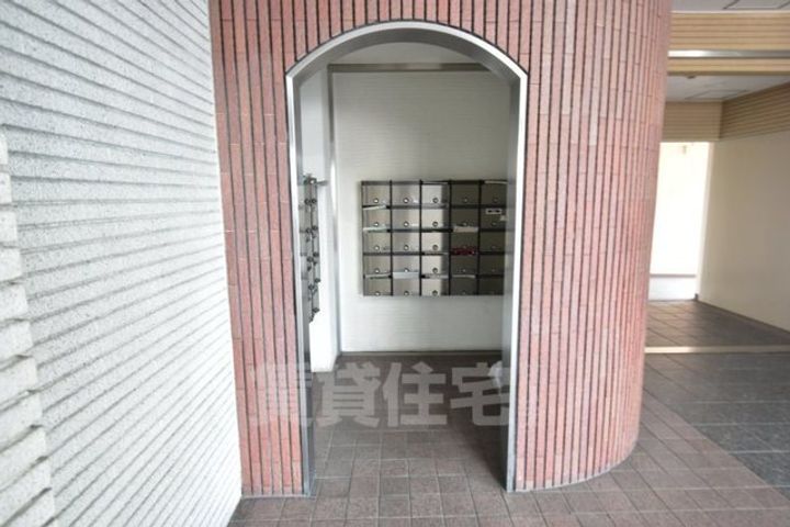 シロハイヌ今米のその他画像