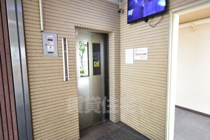 シロハイヌ今米のその他画像