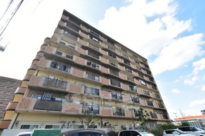 シロハイヌ今米の外観