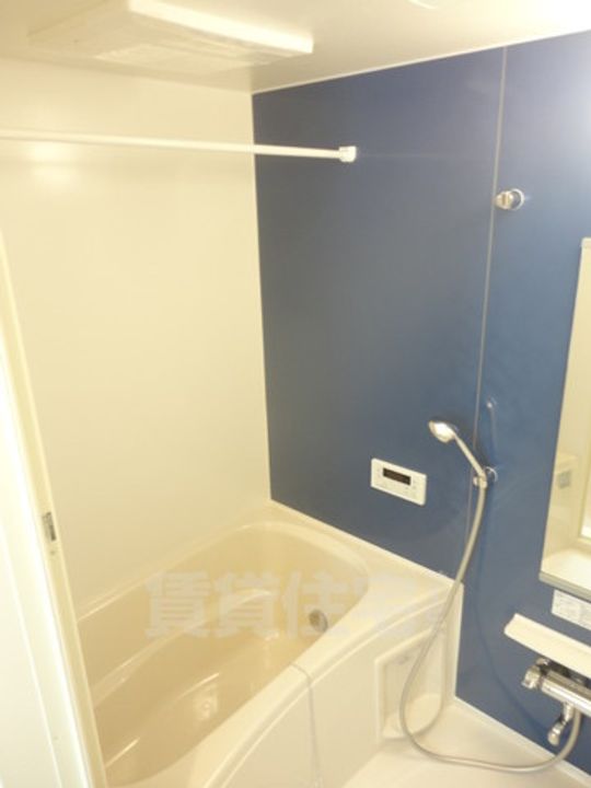 メゾン・ド・パルクの風呂