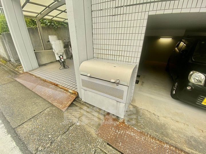 カメリアのその他画像