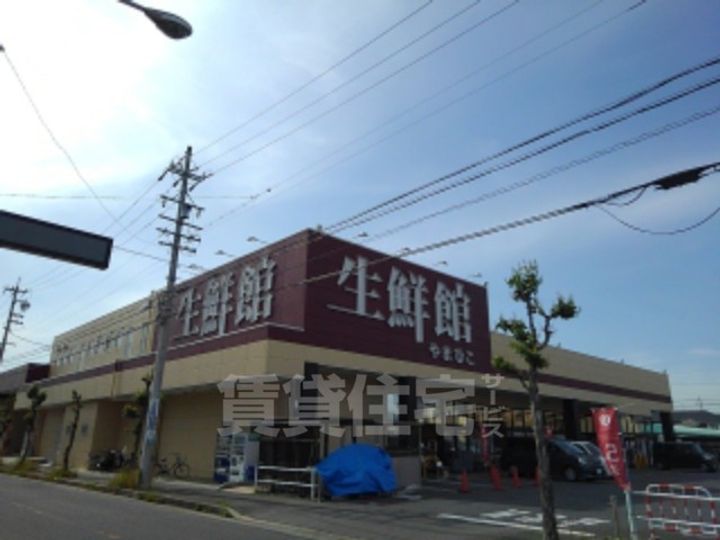 コスモ・ビリンの周辺