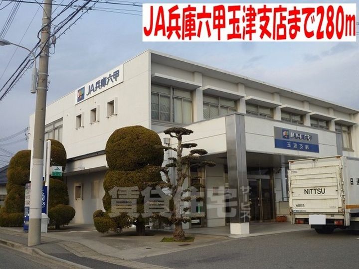 メルシーキャットの周辺