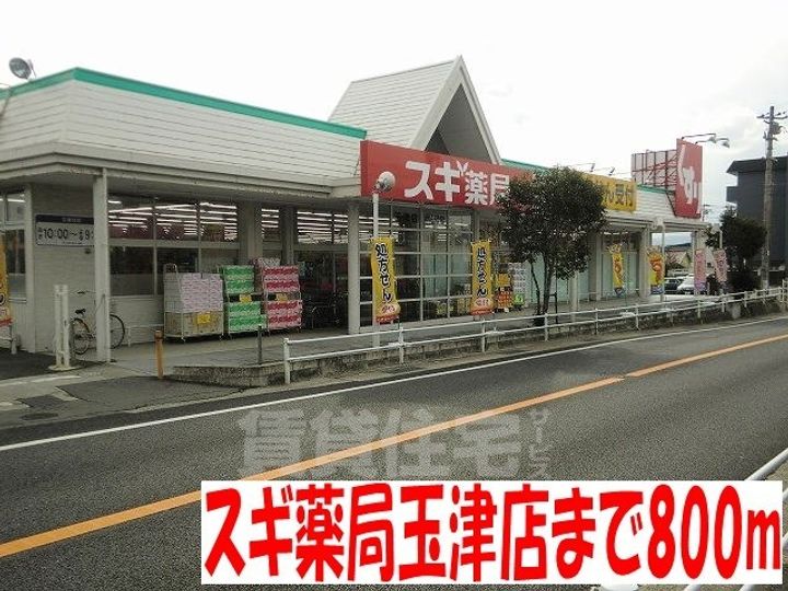 メルシーキャットの周辺