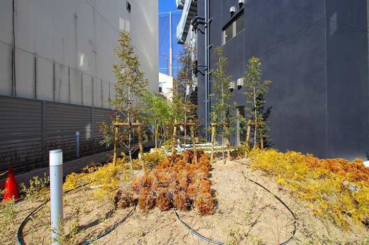 エステムプラザ京橋3リベルタのその他画像