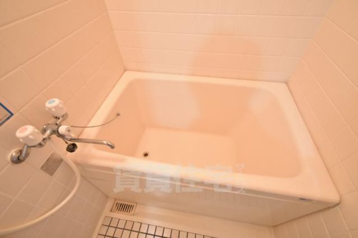 大阪府堺市堺区東雲西町2丁の賃貸マンションの風呂