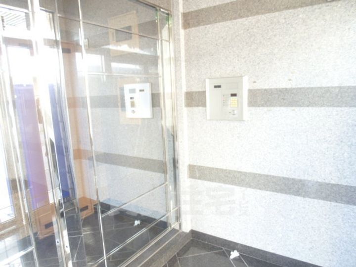 大阪府堺市堺区東雲西町2丁の賃貸マンションの玄関