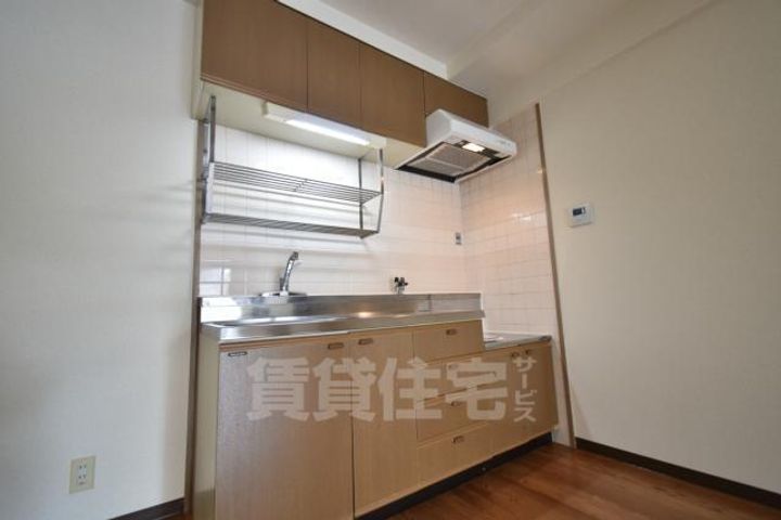 大阪府堺市堺区東雲西町2丁の賃貸マンションのキッチン