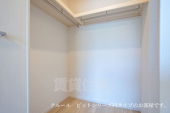 セリーナのその他画像