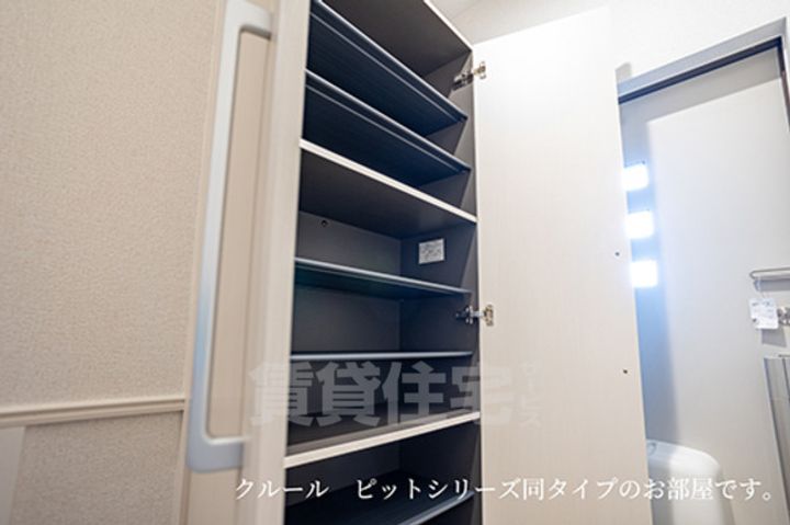 セリーナのその他画像