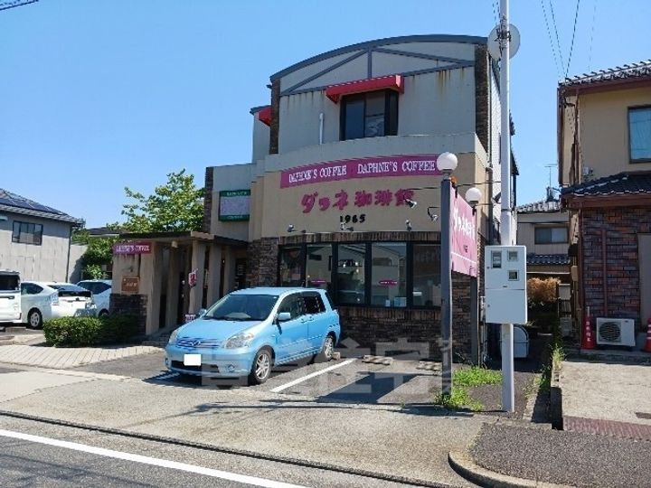 セリーナの周辺