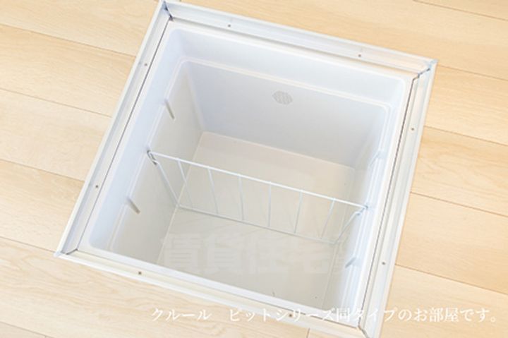 セリーナのその他画像