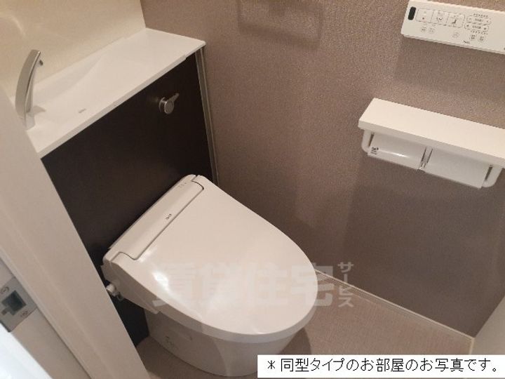 セリーナのその他画像