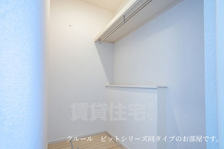 セリーナのその他画像
