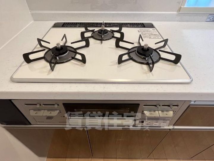 Madison Seedのその他画像