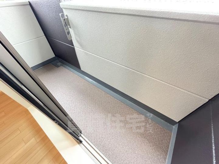 Madison Seedのその他画像