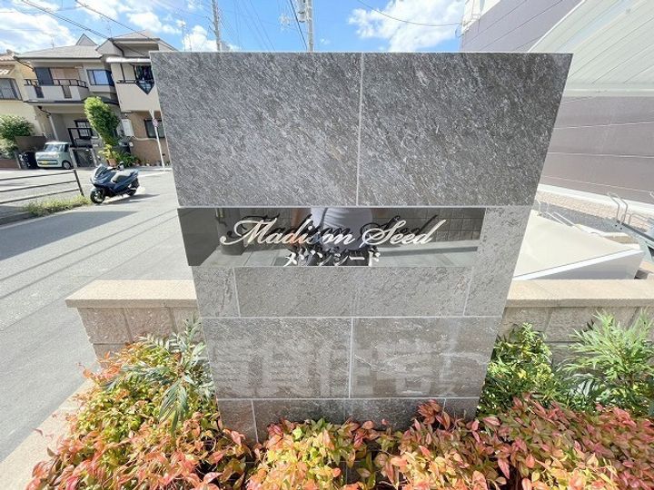 Madison Seedの周辺