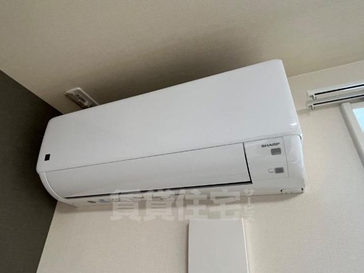 Madison Seedのその他画像