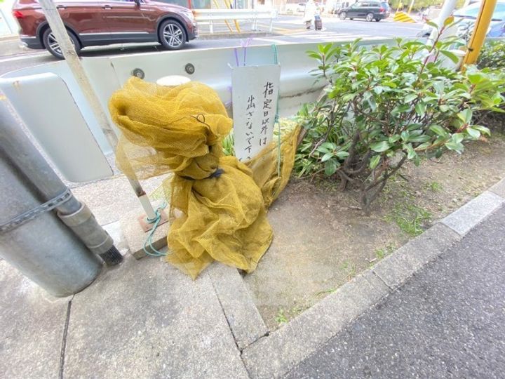 アベニュー泉のその他画像