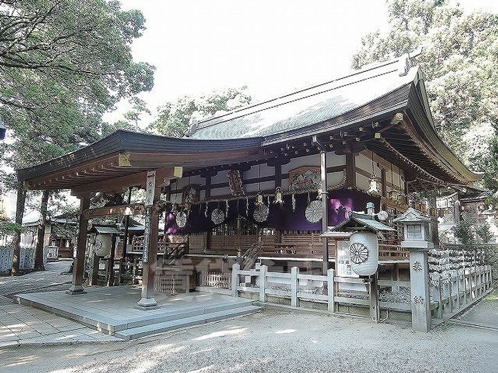 ビューハイツA&K202の周辺