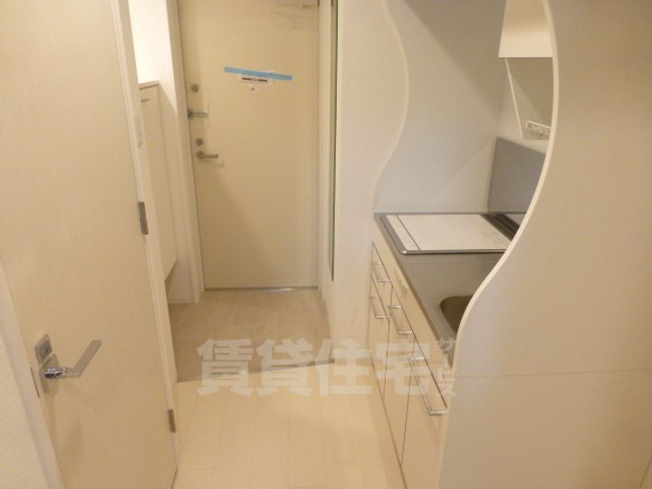 大阪府堺市堺区宿院町東4丁の賃貸マンションの玄関