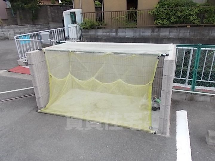 セレシェイラのその他画像