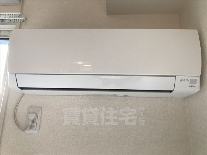 セレシェイラのその他画像