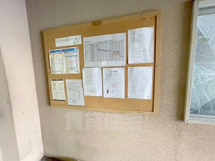 S.E.N.S Matsubaraのその他画像