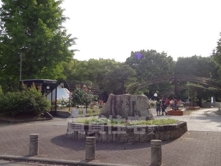 ZAFFIROのその他画像