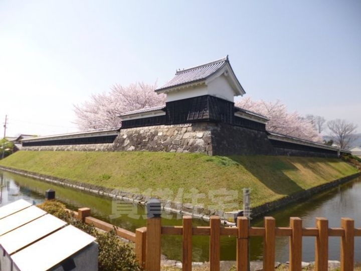 ファーストのその他画像