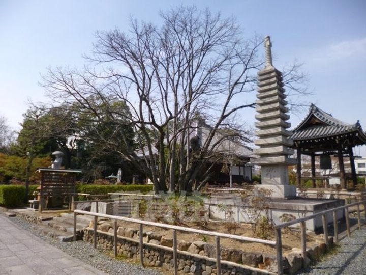 ファーストのその他画像