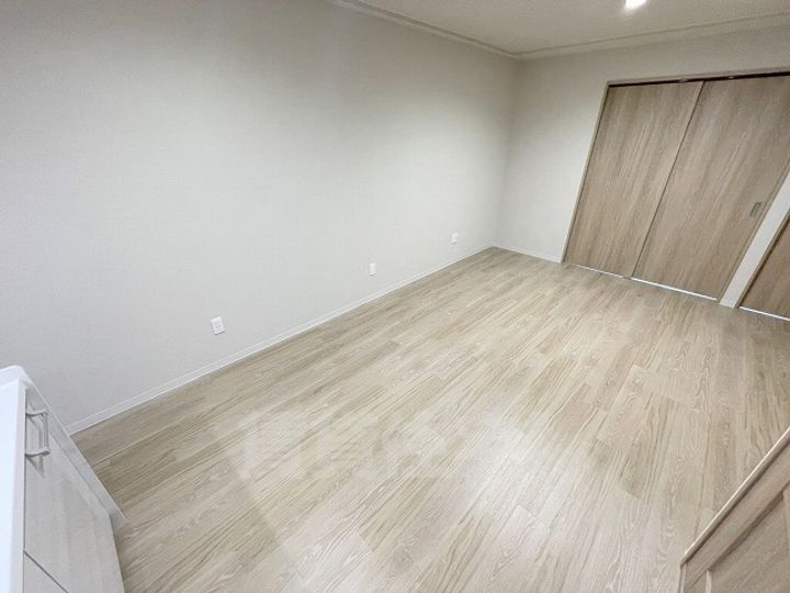 大阪府八尾市緑ヶ丘5丁目の賃貸マンションの内装