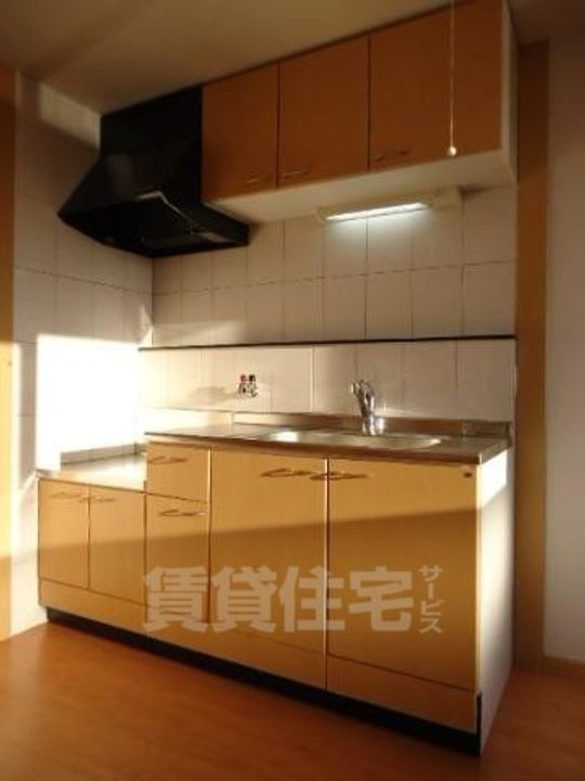 大阪府豊中市桜の町7丁目の賃貸マンションのキッチン