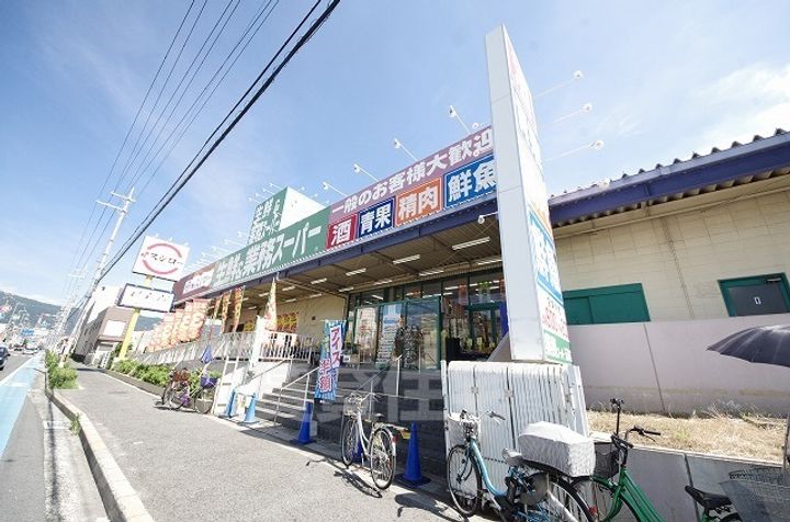 CASA ROSAの周辺