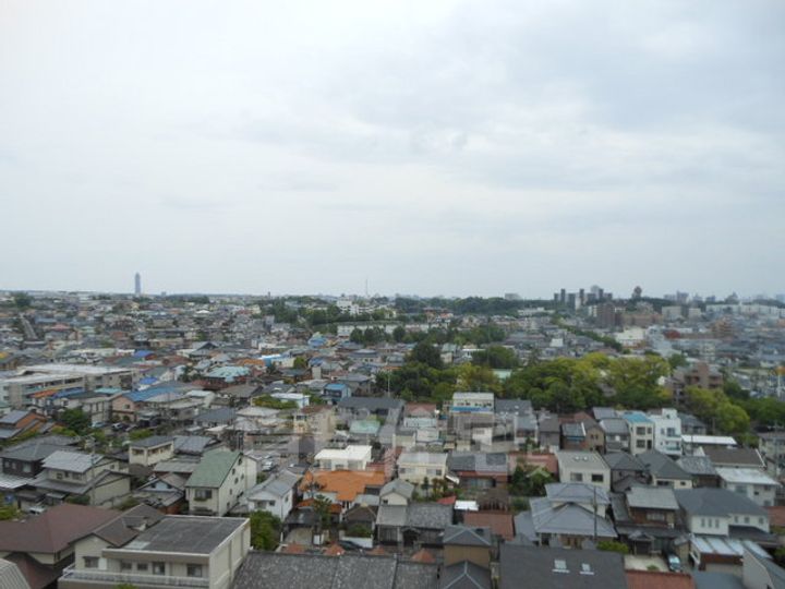 茶屋ヶ坂ライズの周辺