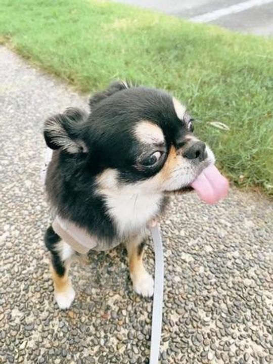 TAMATEマンションのその他画像