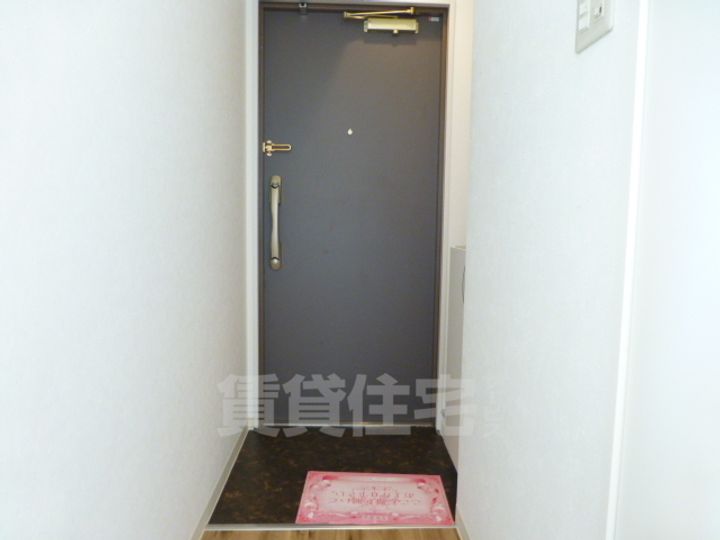 大阪府堺市堺区戎之町西1丁の賃貸マンションの玄関