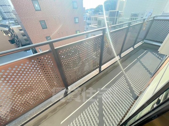 パレフラックスのその他画像