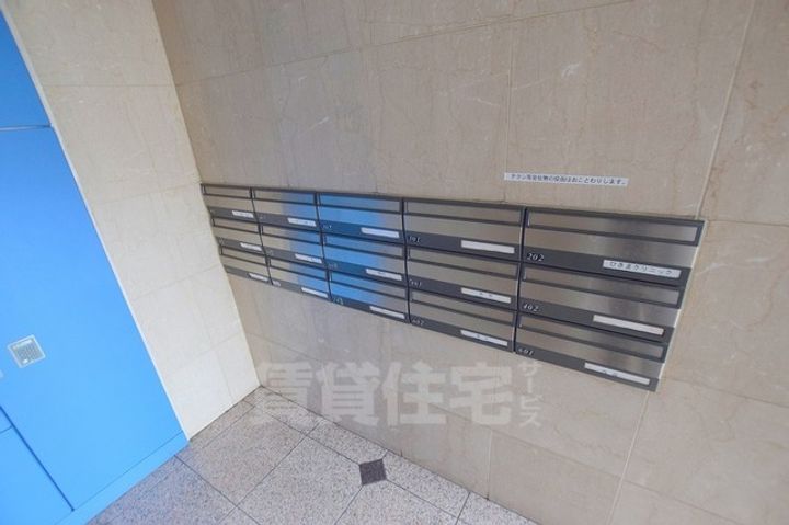 パレフラックスのその他画像