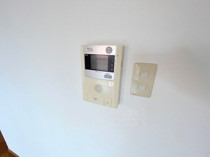 パレフラックスのその他画像