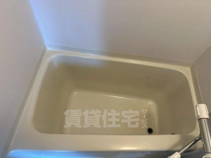 大阪府豊中市中桜塚5丁目の賃貸マンションの風呂