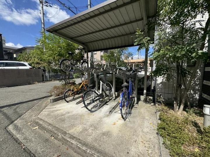 マーヴェラスのその他画像