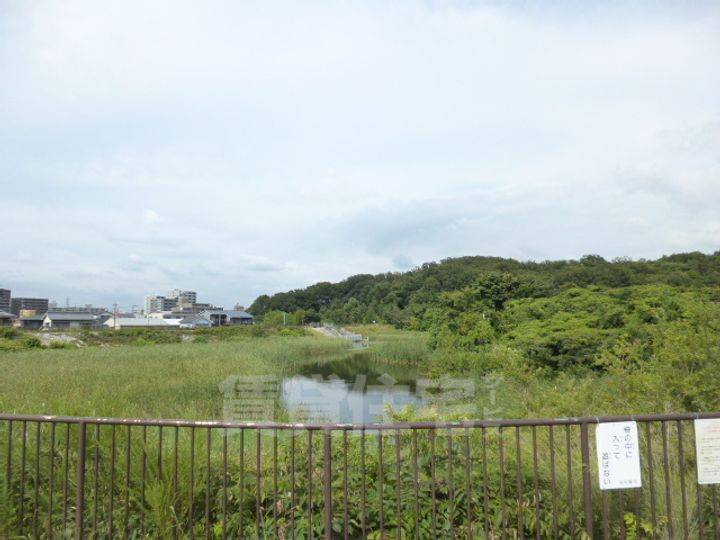 リヴァーサイド植田のその他画像