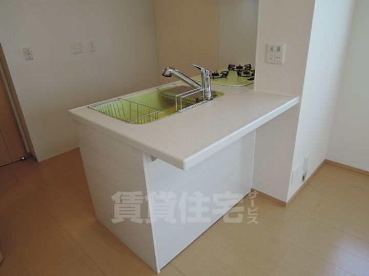 大阪府堺市堺区南三国ヶ丘町4丁の賃貸アパートの内装