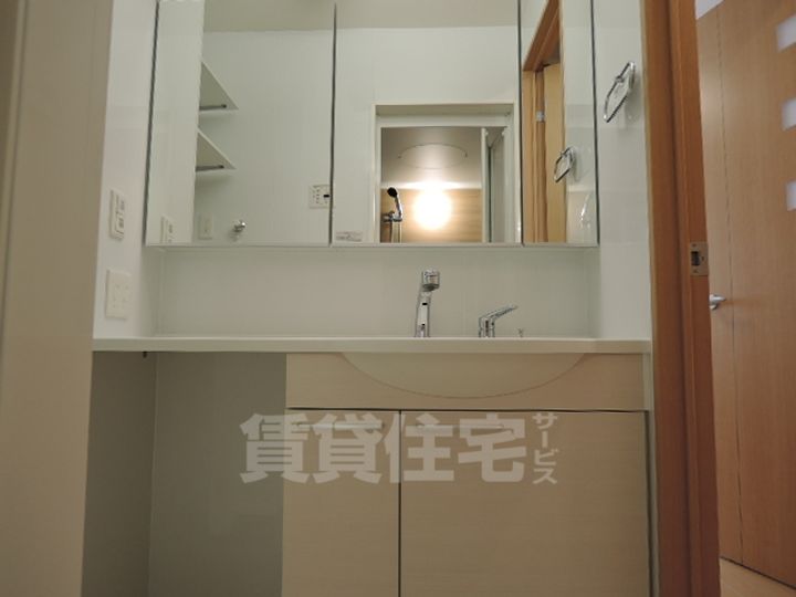 大阪府堺市堺区南三国ヶ丘町4丁の賃貸アパートの内装